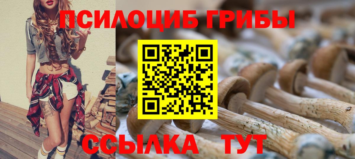 Галлюциногенные грибы MAGIC MUSHROOMS Лесосибирск