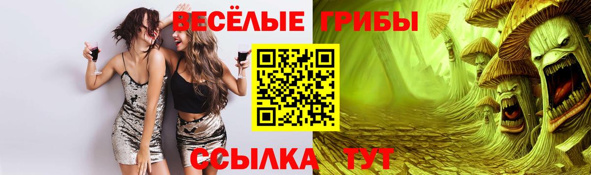 где можно купить наркотик  Псилоцибиновые грибы Psilocybe  Псилоцибиновые грибы прущие грибы  Вход с VPN  Лесосибирск 
